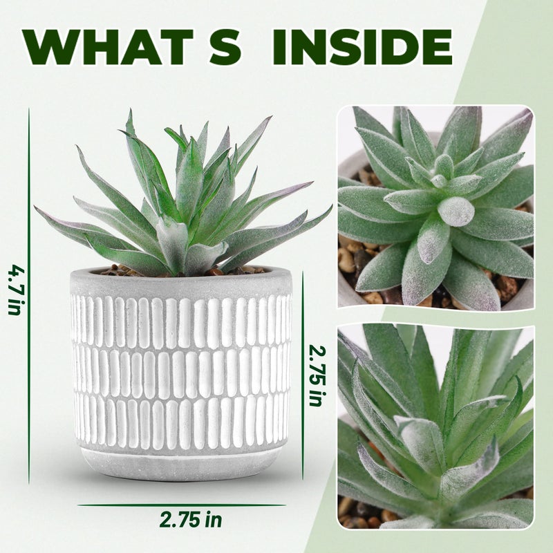 Der Rose Set of 2 Succulents Plants Artificial Fake Cactus Plants for Living Room Bathroom Bedroom Aesthetic Home Shelf Decor - Image 3