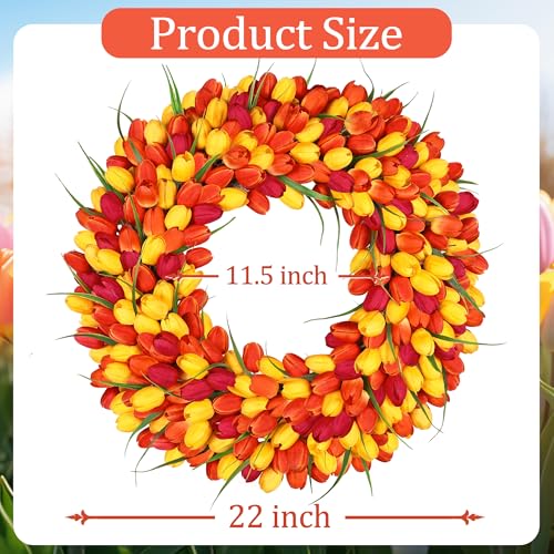 Zmtyykh Tulip Wreath Spring Wreaths for Front Door Zmtyykh Artificial Floral Door Wreath for Valentine’s Day Easter Summer Decor for Outdoor Indoor Window Wall Front Porch Farmhouse Home 22" Red Orange Yellow - Image 4