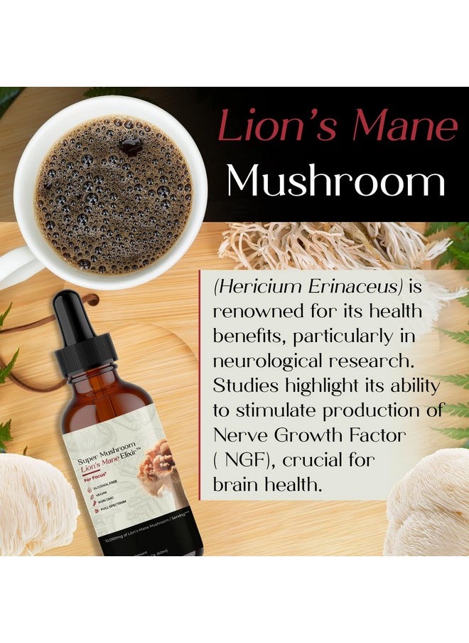 Auri Lion’s Mane Liquid Elixir - Brain Supplements for Memory and Focus with Functional Mushrooms - Lions Mane Supplement - Full Spectrum Lion's Mane Extract - No GMO, Vegan Mushroom Tincture