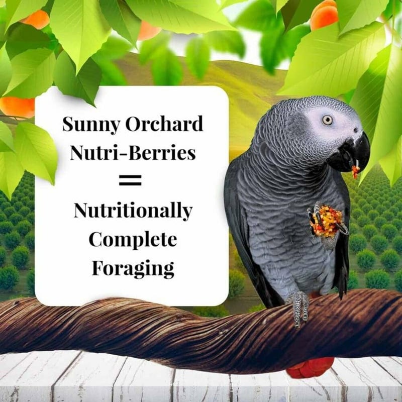 LAFEBER'S Sunny Orchard Nutri-Berries Pet Bird Food, Made with Non-GMO and Human-Grade Ingredients, for Parrots, 3 lb - Image 3
