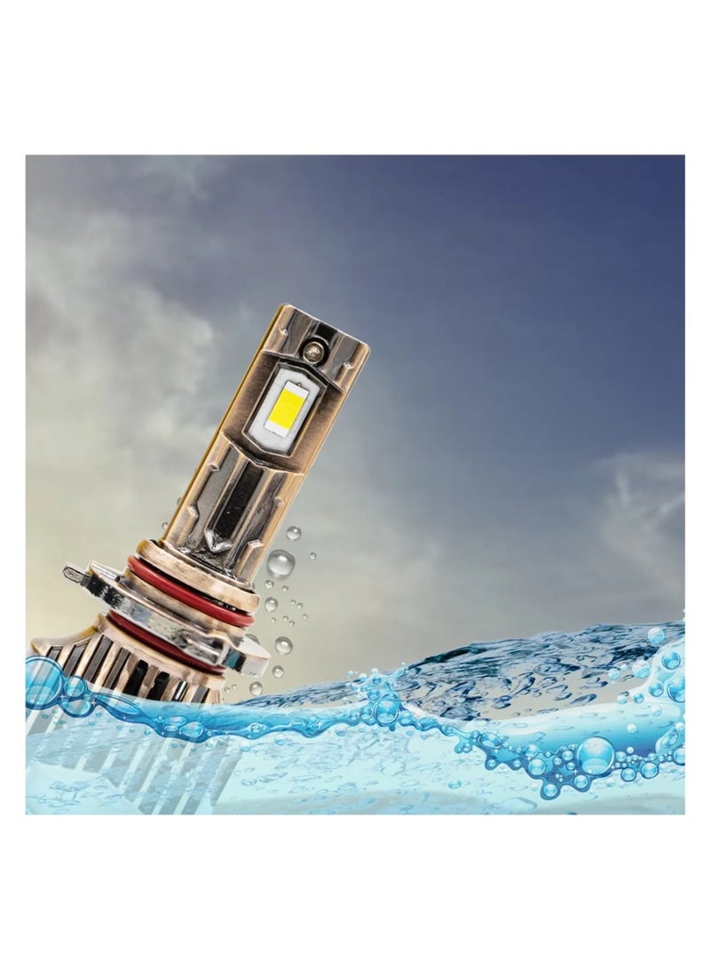 توبيز LX 60 قطعتين من مصابيح LED الأصلية للسيارة، 60 واط/القطعة، قوة 6000 لومن/القطعة، درجة حرارة اللون 6500 كلفن - LX60 L - H1 - Image 4