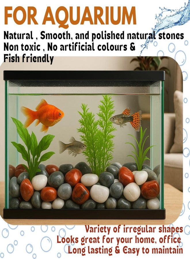 Wowtag Grey,White and Red Combo Polished Pebbles, 2-4 CM,1.95 KG, Large Size, Stone for Plants, Aquarium, Garden, Decorative Stones, Vase Filler, Craft Work - Image 3