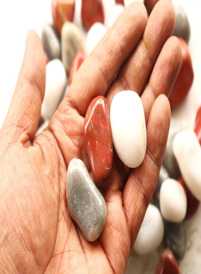 Wowtag Grey,White and Red Combo Polished Pebbles, 2-4 CM,1.95 KG, Large Size, Stone for Plants, Aquarium, Garden, Decorative Stones, Vase Filler, Craft Work - Image 4