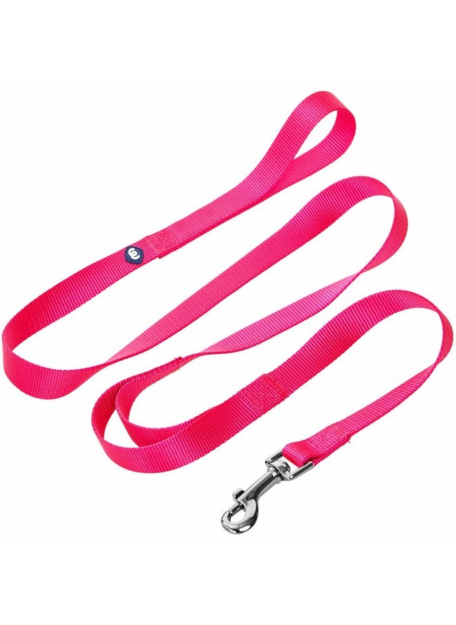 Blueberry Pet Essentials Double Handle Dog Leash for Traffic Control | 4ft. x 1" Large Dog Leash | Classic Dog Leash with Two Handles for Dogs That Pull | Nylon 2 Handle Dog Leash in French Pink - pzsku/Z29663471723769203005Z/45/_/1737031657/1b245654-323e-4ec4-9d10-fc475ea91abf