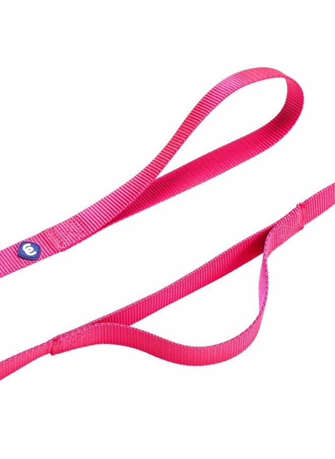 Blueberry Pet Essentials Double Handle Dog Leash for Traffic Control | 4ft. x 1" Large Dog Leash | Classic Dog Leash with Two Handles for Dogs That Pull | Nylon 2 Handle Dog Leash in French Pink - pzsku/Z29663471723769203005Z/45/_/1737031676/ef7b11d0-c894-4e26-ae12-ebfca623af05