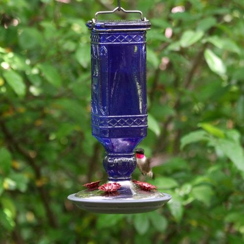 Perky-Pet 8117-2 Square Antique Glass Bottle Hummingbird Feeder - 16 Ounces - Image 4