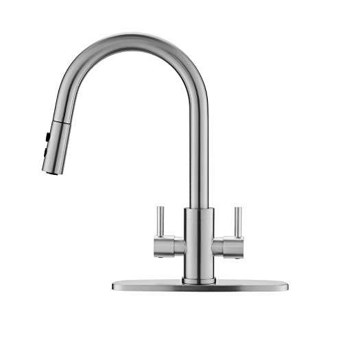PAKING Kitchen Faucet, Two Handles Sink Faucet with Sprayer, Stainless Steel, Brushed Nickel, PB1045 - Image 1