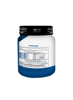 Champ S Nutrition Tagdha Mass (500Gm) (American Ice-Cream)  - Image 4