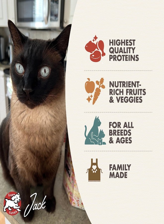Fromm Four-Star Nutritionals Surf & Turf Cat Food - Premium Dry Cat Food - Salmon Recipe - 10 lb - Image 3
