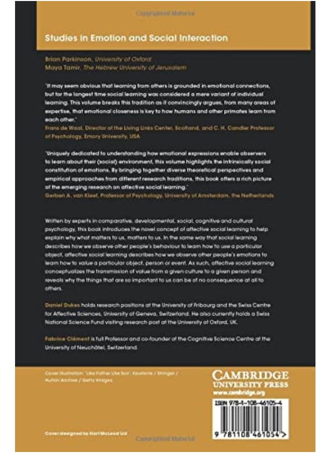 Foundations of Affective Social Learning: Conceptualizing the Social Transmission of Value  - Image 2
