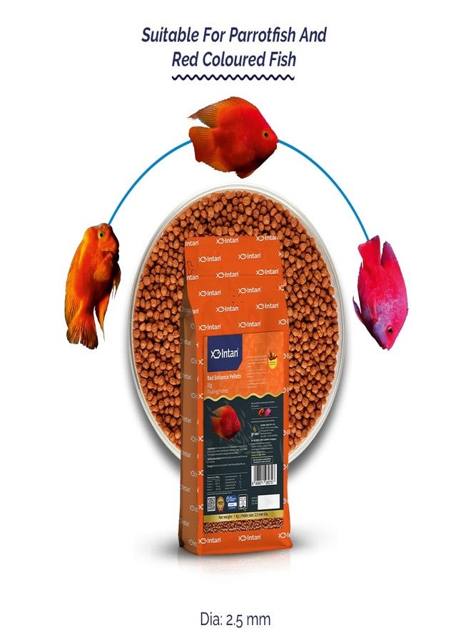 Intan Red Enhance Pellets (Big 2.5mm Floating) | 1Kg - Highly Nutritious Ornamental Fish Food for Parrotfish & Red Coloured Fish | Growel Feeds - Image 2