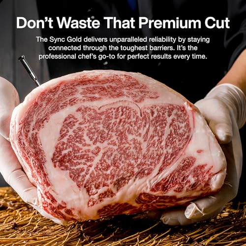 Typhur Sync Gold Wireless WiFi Meat Thermometer, 2 Slim Probes, 6 Sensors, 10x Stronger Signal, ±0.5℉ Accuracy, Smart Base Direct Setup, Reliable Reading Through Kamado Grill BBQ Oven Smoker Air Fryer - Image 3