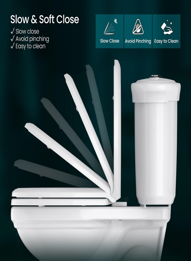 RT مقعد مرحاض R&T دائري B1099، قوي يتحمل حتى 440 رطل، يغلق ببطء، غير قابل للانزلاق وسهل التنظيف، سهل التركيب، مادة PP بيضاء ممتازة - Image 3