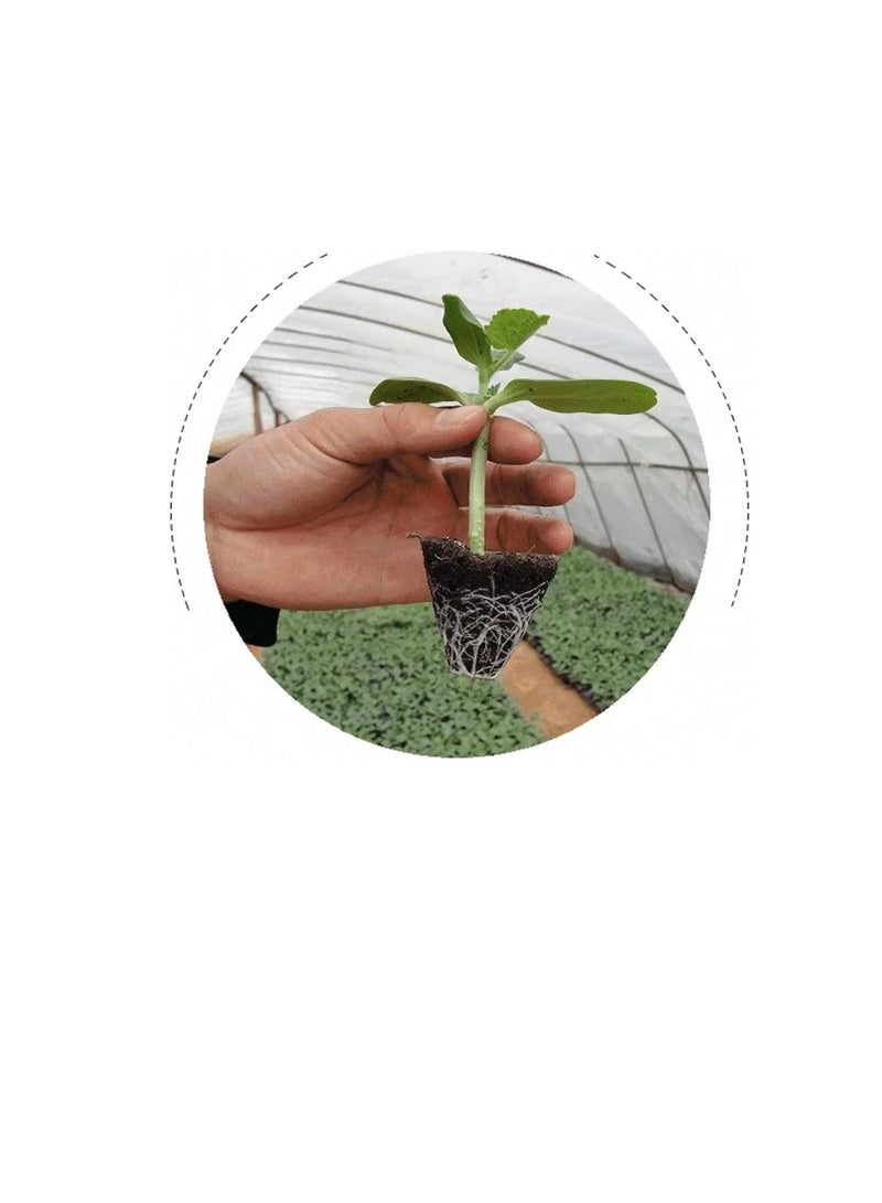 Generic Delicate 10Pcs 50 Cells Seedling Starter Tray Seed Germination Plant Flower Pots Nursery Grow Box Propagation for Garden  - Image 3