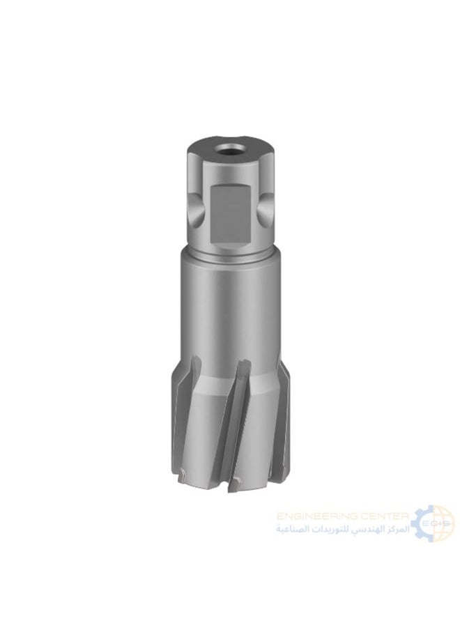 BOSCH Magnetic bit 3.5 cm x 26 mm Bosch 