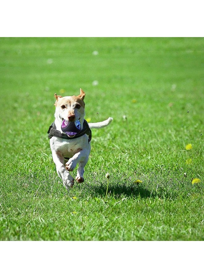 كرة مطاطية متينة مستوردة مقاس 11 سم للكلاب البالغة (كرة LED) لعبة مضغ صريرية للكلاب (قد يختلف اللون 1 قطعة) - Image 4