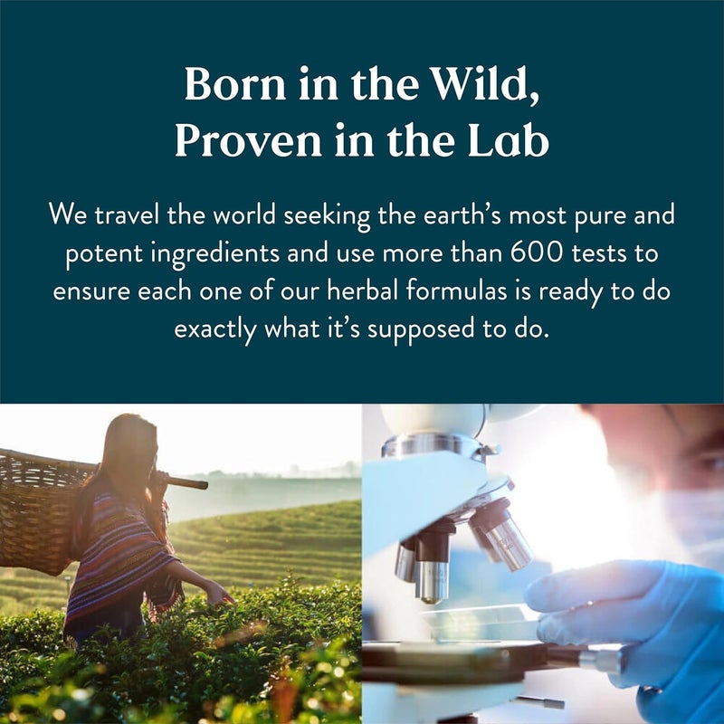 Nature's Sunshine Bronchial Formula - Ayurvedic Respiratory Support Supplement, 100 Capsules - Image 2