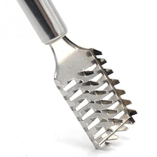 Hasruna Enterprise Hasruna Enterprise Stainless Steel Fish Scale Remover  - Image 2