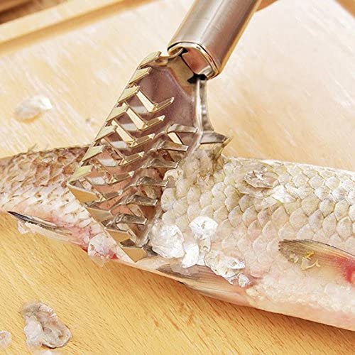 Hasruna Enterprise Hasruna Enterprise Stainless Steel Fish Scale Remover  - Image 4