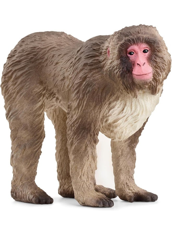 Schleich تمثال قرد الماكاك الياباني من شلايش وايلد لايف (5.6 سم) - Image 2