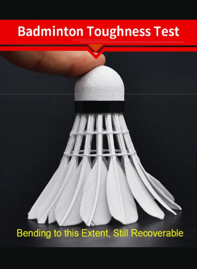 Whizz Ze-2 Professional Goose Feather Shuttlecock - 12Pcs Tube, Speed 74-79, Ideal For Competition & Training - Image 4