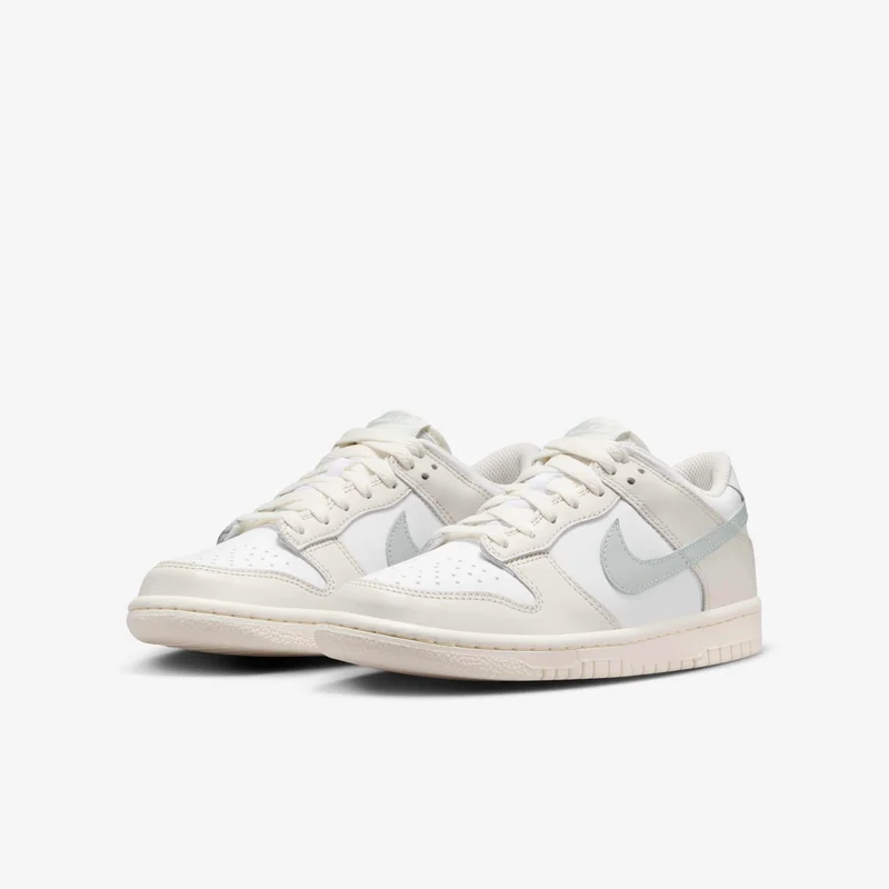 Nike Kids' Dunk Low Shoes
