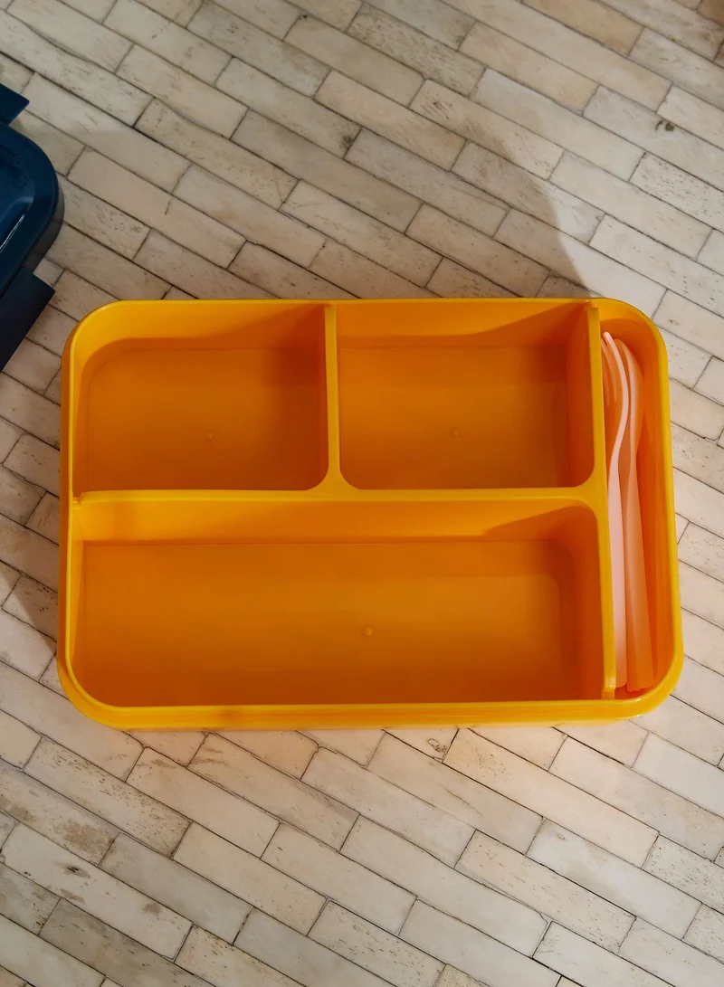 AURORA Lunch Box
