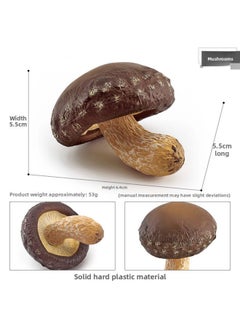 Simulation Fungus Mushroom Model Lentinus Edodes Long Skirt Bamboo Mushroom Poisonous Rope Umbrella Real Agaricus Mushroom Matsutake Amanita Mushroom Ornaments-Color:T15511 Mushroom 53g