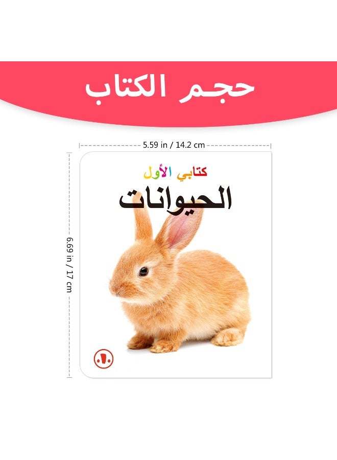1 set of 10 books 17cm*14cm My Little Encyclopedia Children's Arabic Literacy Series Early Education Picture Books Children's Literacy Picture Books Start of the School Season Montessori Education Picture Books Christmas, Thanksgiving, New Year Gifts  - Image 3