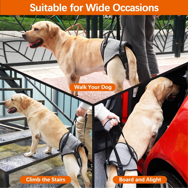 ROZKITCH Dog Lift Harness, Pet Rear Support Aid Veterinarian Approved Sling for Old K9 Help with Poor Stability, Back Leg Hip Disabled Joint Injury Elderly Arthritis ACL Rehabilitation Rehab Grey L - Image 3