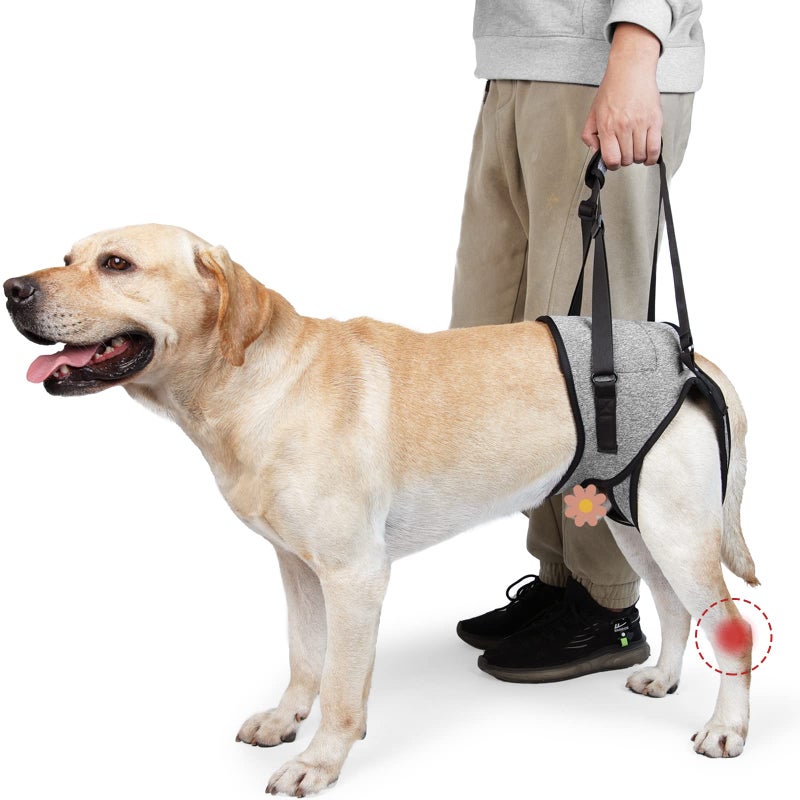 ROZKITCH Dog Lift Harness, Pet Rear Support Aid Veterinarian Approved Sling for Old K9 Help with Poor Stability, Back Leg Hip Disabled Joint Injury Elderly Arthritis ACL Rehabilitation Rehab Grey L - Image 1