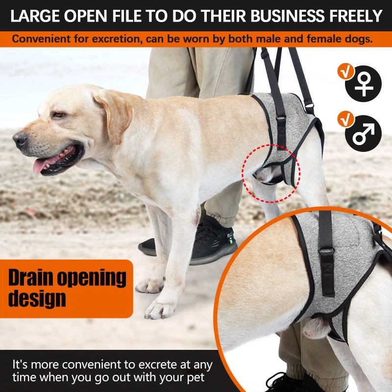 ROZKITCH Dog Lift Harness, Pet Rear Support Aid Veterinarian Approved Sling for Old K9 Help with Poor Stability, Back Leg Hip Disabled Joint Injury Elderly Arthritis ACL Rehabilitation Rehab Grey L - Image 4