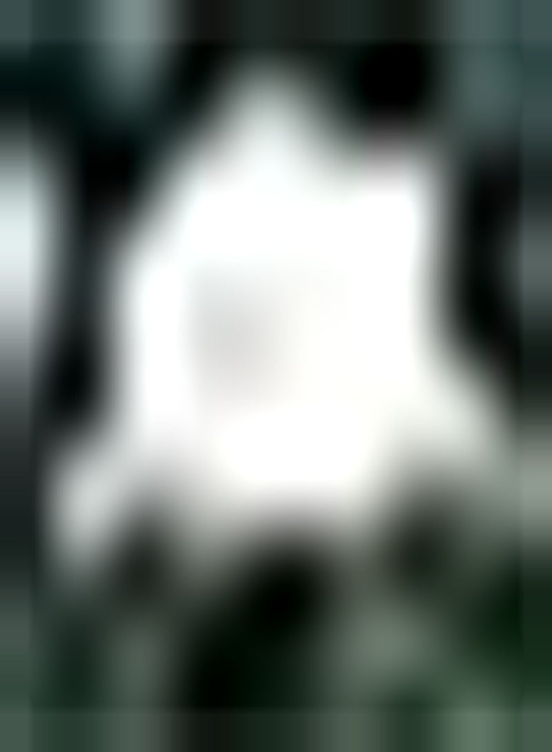 GGOOT 10pcs White Tulip Seeds Garden Perennials Can Be Used for Cut Flowers Planting in Pieces Form Landscape DIY Garden Craft Art Decoration Cultivate Planting Interest - Image 1