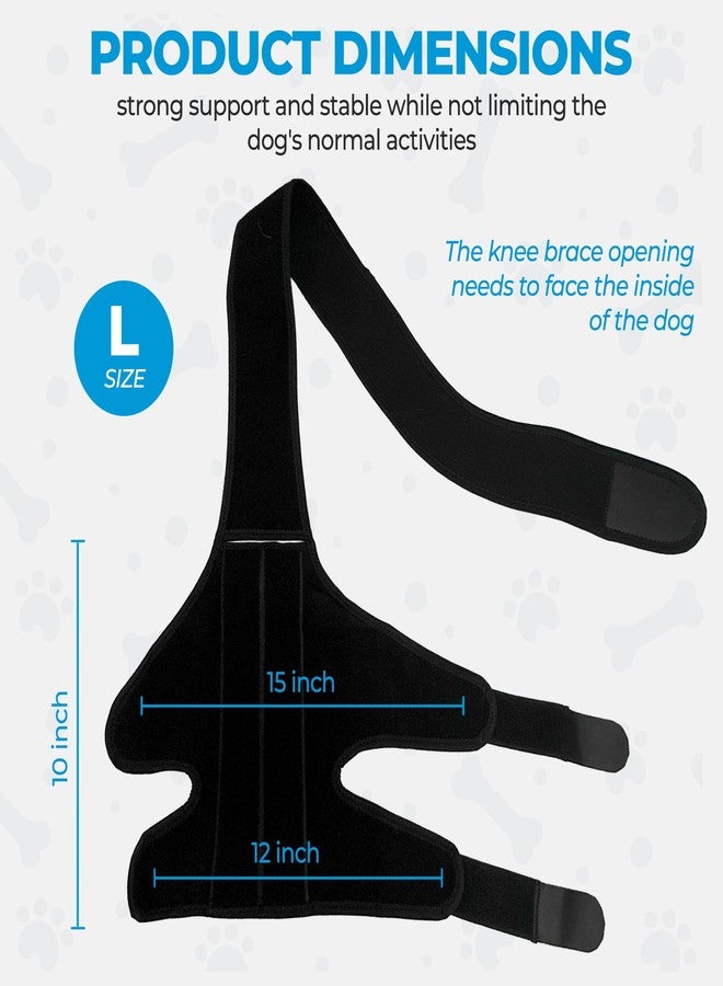 Lycon Dog Knee Brace for ACL Support - Adjustable Hind Leg & Joint Stabilizer - Rear Leg Brace for Mobility, Recovery & Stability - Dog Leg Support (Large Dogs) - Image 3