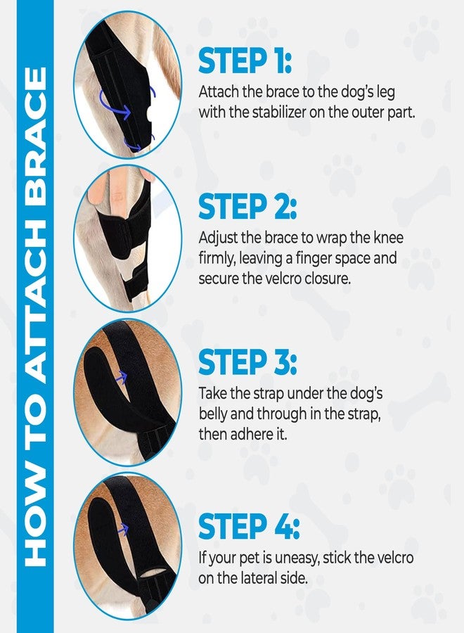 Lycon Dog Knee Brace for ACL Support - Adjustable Hind Leg & Joint Stabilizer - Rear Leg Brace for Mobility, Recovery & Stability - Dog Leg Support (Large Dogs) - Image 4