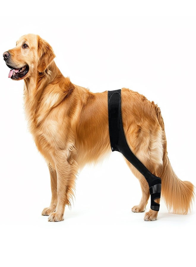 Lycon Dog Knee Brace for ACL Support - Adjustable Hind Leg & Joint Stabilizer - Rear Leg Brace for Mobility, Recovery & Stability - Dog Leg Support (Large Dogs) - Image 1
