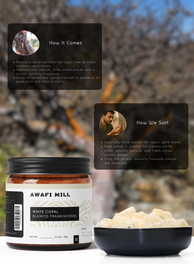 AWAFI MILL White Copal (Copal Blanco) Incense Resin | Bursera spp. Aromatic Resin for Charcoal and Bakhoor Burners | Bright Pine-Citrus, Clean Resinous Aroma | Loose Resin - 100 g | 3.5 Oz - Image 4