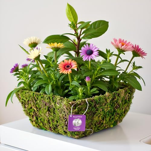 SuperMoss (55040 Marin, Fresh Green, Set of 3 (S/M/L) - Image 2