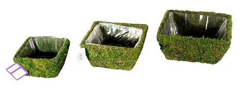 SuperMoss (55040 Marin, Fresh Green, Set of 3 (S/M/L) - Image 3