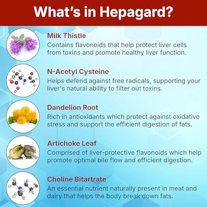 Hepagard - Natural Liver Support Supplement with N-Acetyl Cysteine (NAC) - Non-GMO, Vegan, Gluten-Free - Image 5