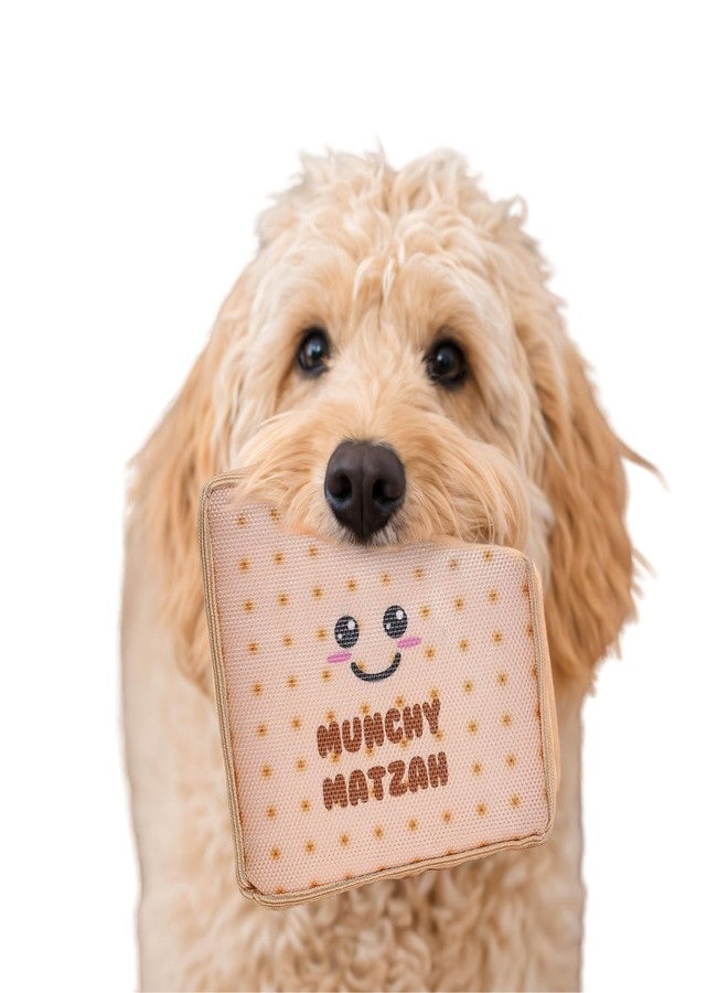 Rite Lite Chewdaica Passover Matzah Dog Toy - Passover Gifts for Dog Owners, Chewy Crinkly Tough & Durable Matzah Shaped Dog Toy Haggadah Pesach Seder Jewish Holiday Party Favor, Dog Accessories 5.5"H - Image 1