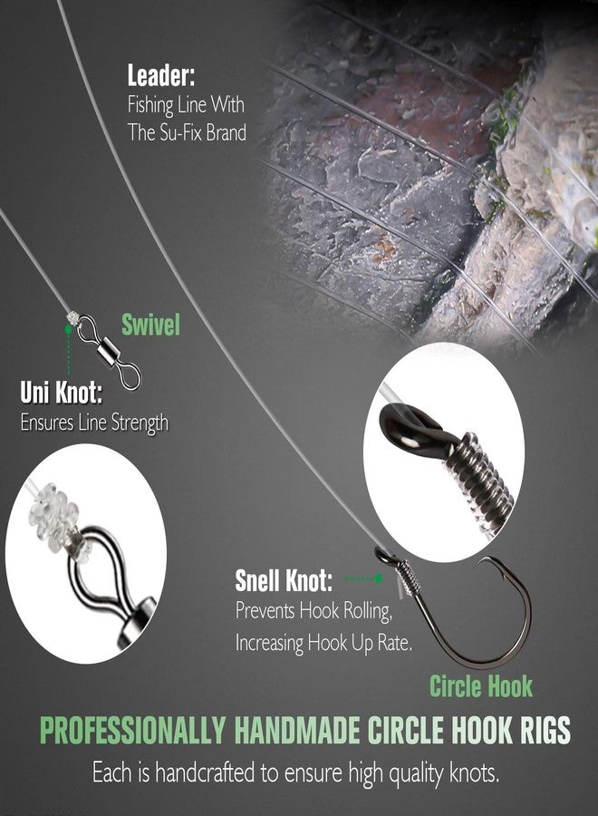 Dovesun 10PCS Circle Hooks Rigs Pre-Rigged Catfish Rig for Saltwater Freshwater Fishing Hooks for Catfish 2/0 - Image 2