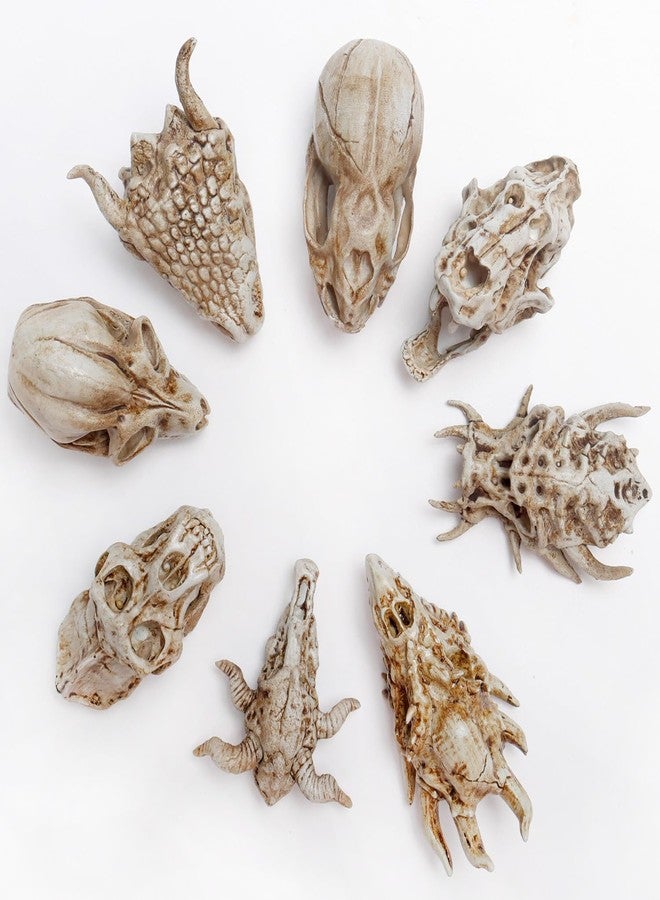 Bbiamsleep 8 Pcs 2.3 Inch Animal Skulls Figurine Resin Mini Skulls Dinosaur Alien Animal Skulls Decor Ornament Mini Skull Heads for DIY Projects Halloween Christmas Decoration - Image 2