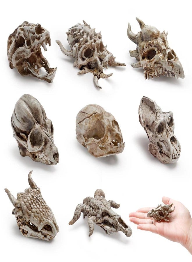 Bbiamsleep 8 Pcs 2.3 Inch Animal Skulls Figurine Resin Mini Skulls Dinosaur Alien Animal Skulls Decor Ornament Mini Skull Heads for DIY Projects Halloween Christmas Decoration - Image 1