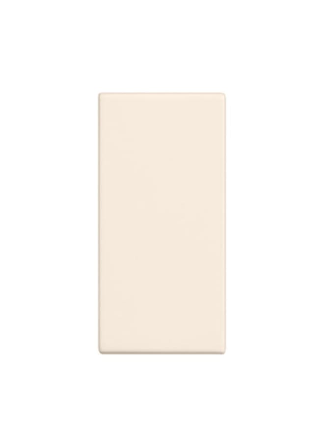Bticino 16 Amp Switch, Solida, from bticino beige
