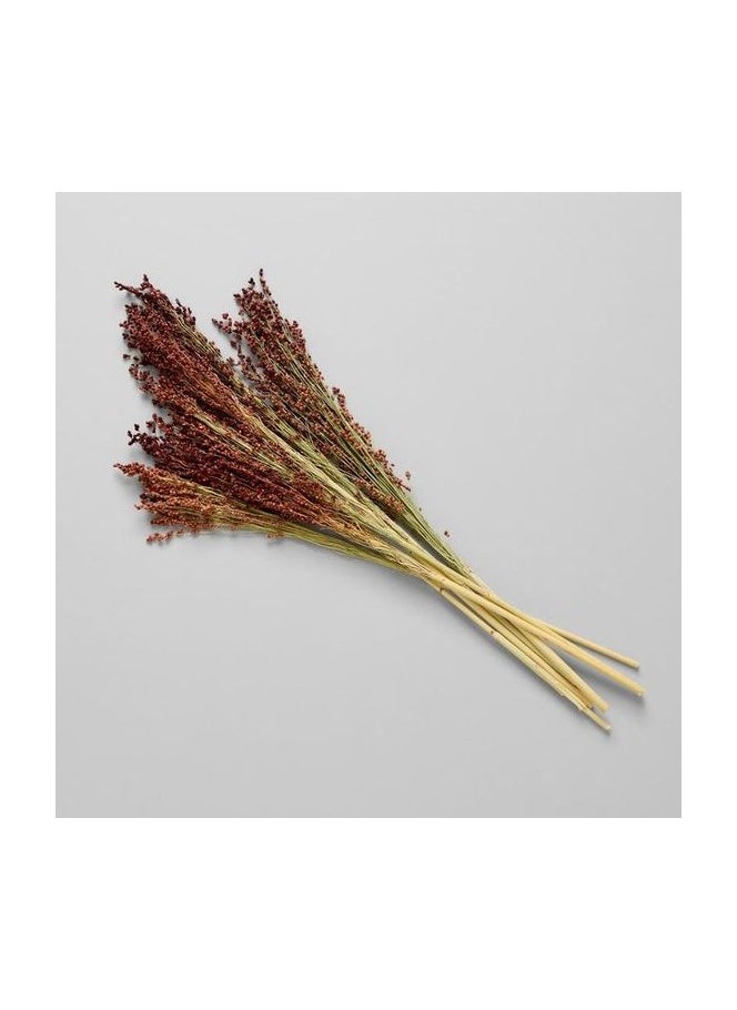 Generic Sorgum Stem | Natural Dried Mix 40 Pieces  - Image 2