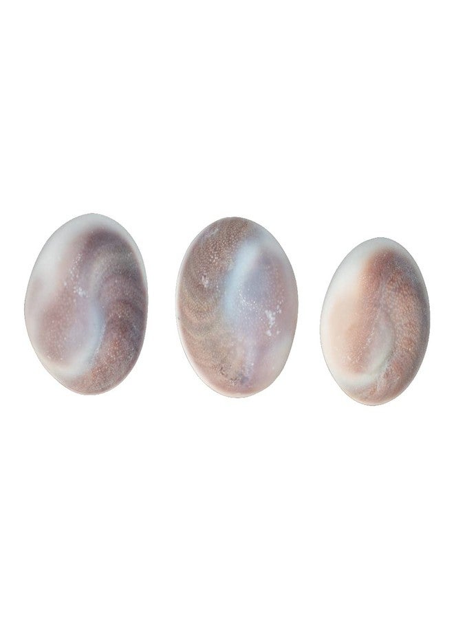 CHAKRADHARI Original And Natural Gomti Chakra Big Size 3 piece Set of 1 - Image 2
