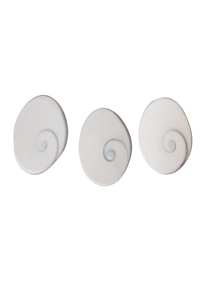 CHAKRADHARI Original And Natural Gomti Chakra Big Size 3 piece Set of 1 - Image 1