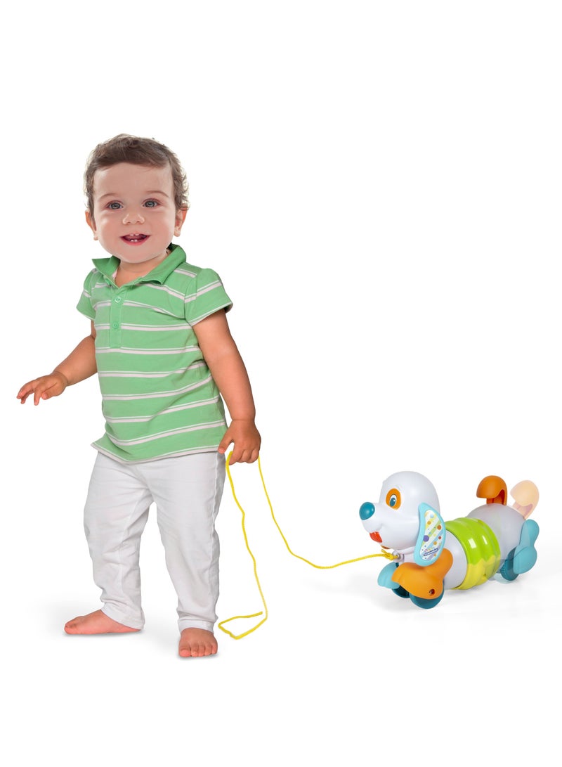 Clementoni Pull Along Dog for Baby Toddlers | Interactive Toy for Baby and Toddler | Helps with Motor Skill Development | Bright Colors | Early Development Toy | Perfect Gift for Baby and Toddler - Image 3