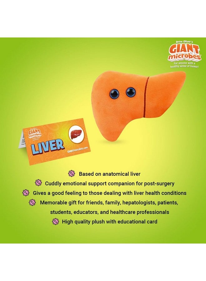 Giant Microbes GIANTmicrobes Stuffed Liver Plush, Liver Stuffed Animal, Anatomical Liver, Hepatologist Gift, Liver Transplant Gifts, Hepatitis Gift, Hepatology Gift, Cirrhosis Gift, Liver Pillow, Liver Donor Gift - Image 3
